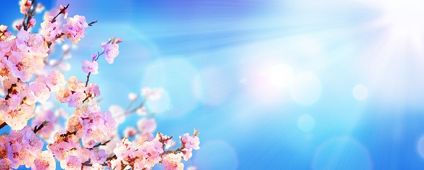 戰(zhàn)疫情，北京韋林公司全體員工齊心協(xié)力共克時艱！